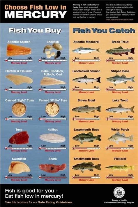 Year Zero Survival | Seafood shop, Sustainable seafood, Low mercury fish