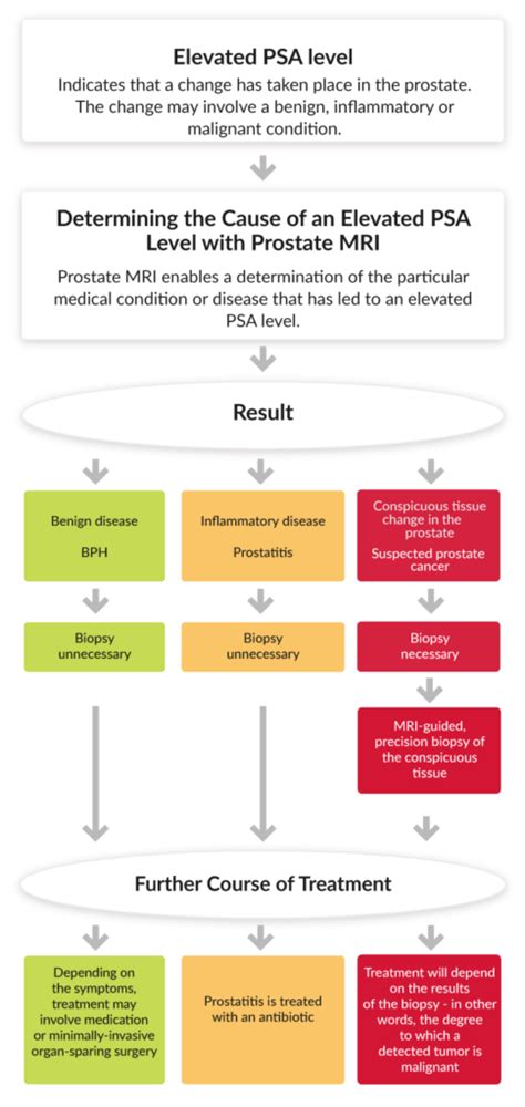 Prostate-Specific Antigen > PSA Levels and Test | ALTA Clinic