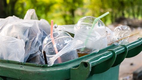 Good, Better, Best — Eliminating Plastic Waste - Eco Thinker News