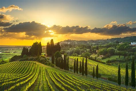 Tuscany Wine | Countryside landscape, Italy countryside, Tuscany vineyard