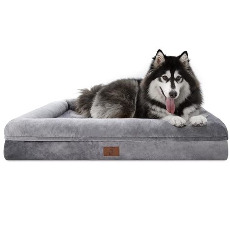 11 Best Dog Beds with Bolsters