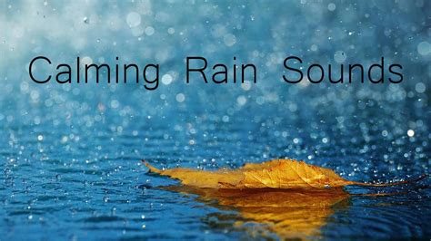 Calming Rain Sounds - YouTube