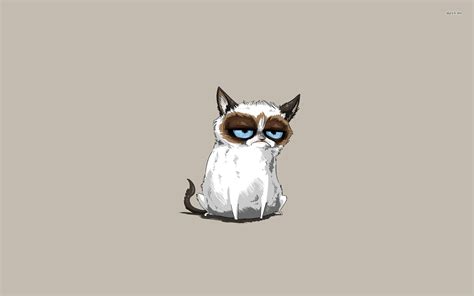 Grumpy Cat Meme Wallpaper - WallpaperSafari