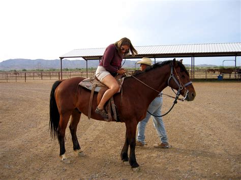 File:Riding horse on farm.jpg - Wikipedia