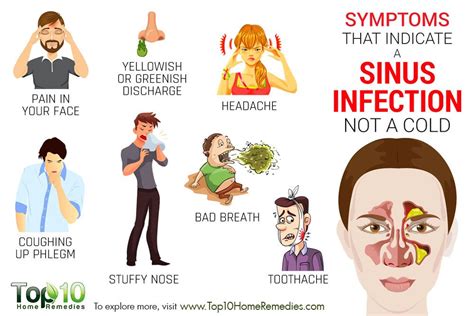 Symptoms that Indicate a Sinus Infection not a Cold | Top 10 Home Remedies