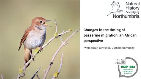 Changes in the timing of passerine migration: an African perspective ...