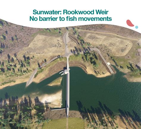 Sunwater: Rookwood Weir no barrier to fish movements – Fitzroy ...