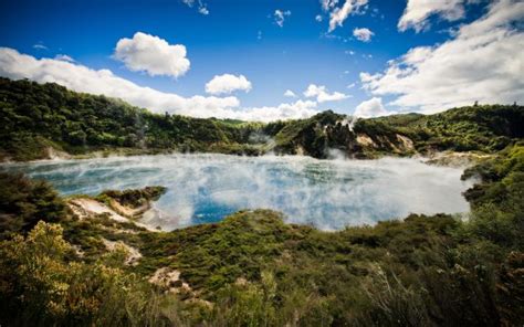 Eco Tour In Rotorua Waimangu Volcanic Valley And Whirinaki Rainforest