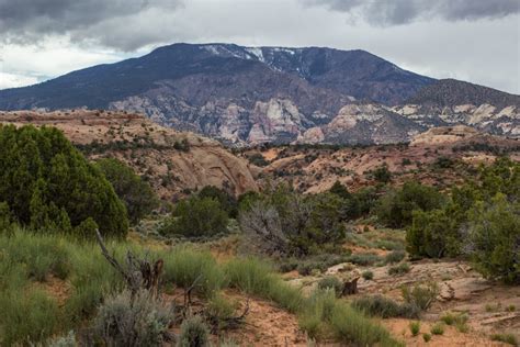 Guided Navajo Mountain Hiking and History