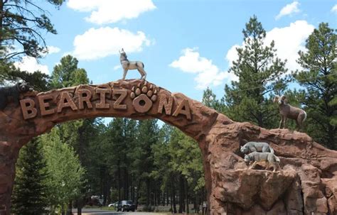 Visit Bearizona Wildlife Park: Thrilling Events, Tickets & FAQs 2024