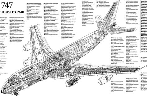 Aircraft Cutaway Phillies Baseball, Air Lines, Aircraft Design, Cutaway ...