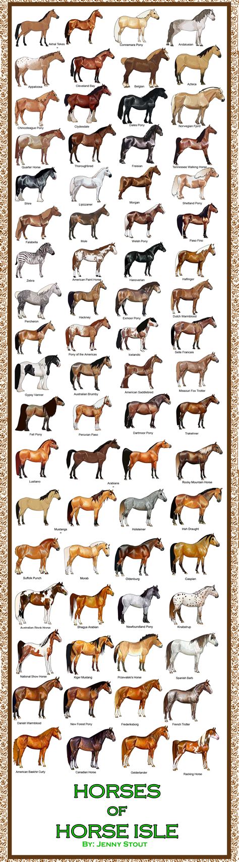 29+ Horse breeds with descriptions info | smallhorsestabledesigns