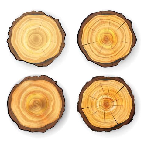 Cut Logs Clipart