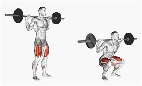 Front Squat vs Back Squat: Which Builds Stronger Legs & Core? – Fitness ...