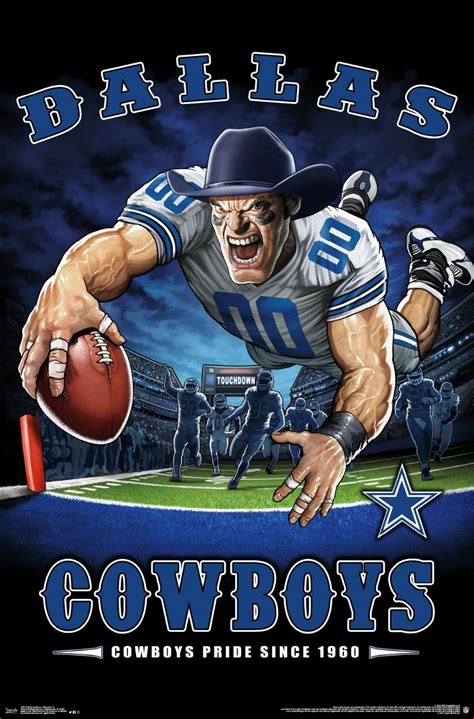 NFL Dallas Cowboys - End Zone 17 Poster | Dallas cowboys images, Dallas ...