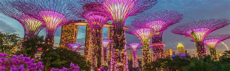 Gardens by the Bay | Singapore Attractions | Big Bus Tours