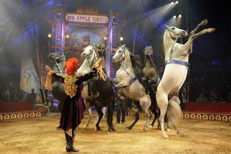 WHY SOME LOCALS ARE ALL FROWNS AS BIG APPLE CIRCUS COMES BACK TO TOWN