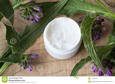 A Jar of Comfrey Cream with Fresh Symphytum Plant Stock Photo - Image ...