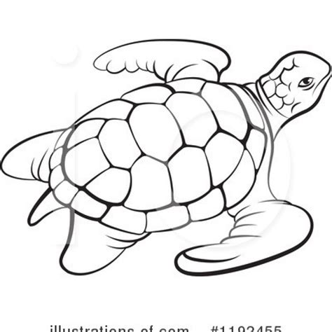 Turtle Outline Drawing at PaintingValley.com | Explore collection of ...