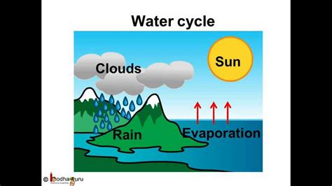 Define Water Cycle