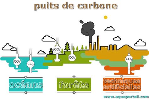 Puits de carbone : définition et explications