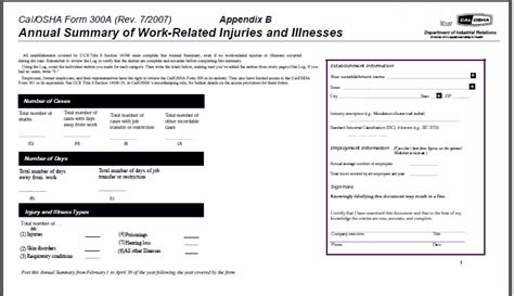 Osha Form 300a Posting Requirements 2023 - Printable Forms Free Online