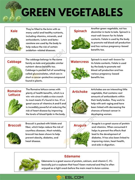 List of Green Vegetables in English with Pictures • 7ESL