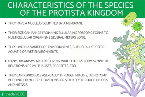 Kingdom Protista - Definition, Characteristics, Classification and Examples