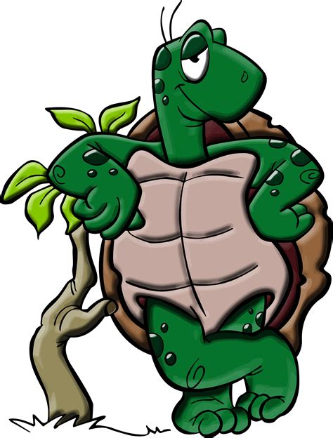 Cartoon Turtle Pictures | Free download on ClipArtMag