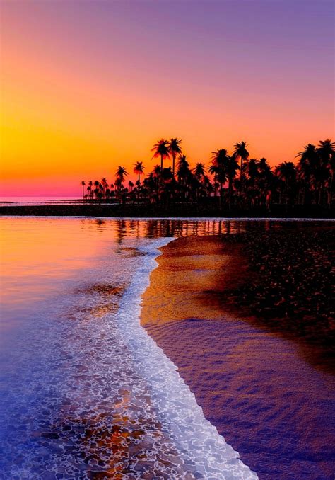 Sunset, beach, nature, sea, sun, HD phone wallpaper | Peakpx