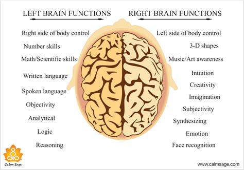 Left Brain vs Right Brain : What's The Difference?