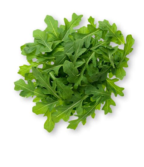 Arugula | What is Arugula? | Nutrition Information & Benefits