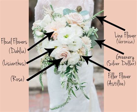 Types of Flowers: Focals, Fillers, and More! | Wedding flower types ...