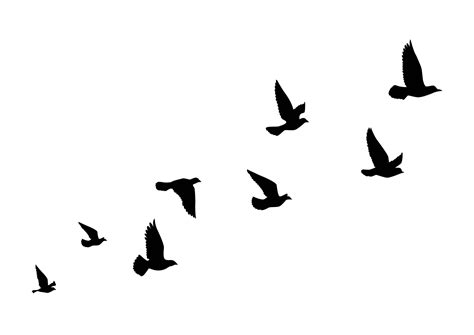 Birds In Flight Silhouette Tattoo