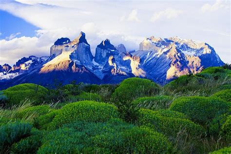 10 Best National Parks In Chile - Updated 2021 | Trip101