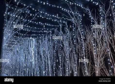 Zagreb street lights hi-res stock photography and images - Alamy