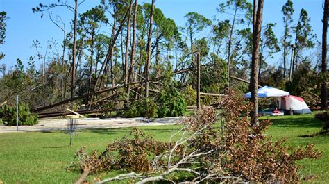 FSU Panama City campus begins road to recovery after Hurricane Michael