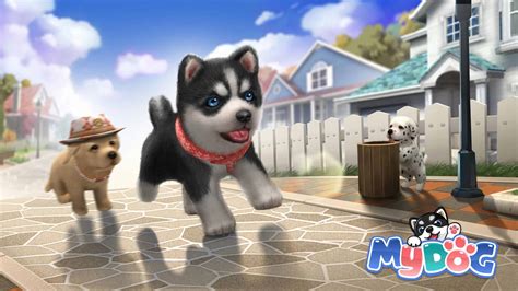 My Dog Pet Dog Game Simulator - Pet Friendly Hotels Near ME