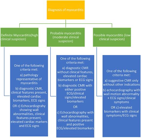 Frontiers | Cardiotoxicity induced by immune checkpoint inhibitor: The ...