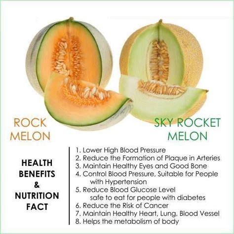 Health Benefits of Cantaloup and Honey Dew Melon... | Melon health ...