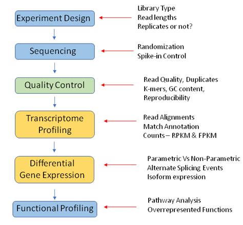 RNA Sequencing | RNA Seq Analysis | RNA Seq Data - 1010Genome | Next ...