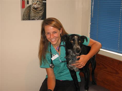 High Peaks Animal Hospital hires new vet | News, Sports, Jobs ...