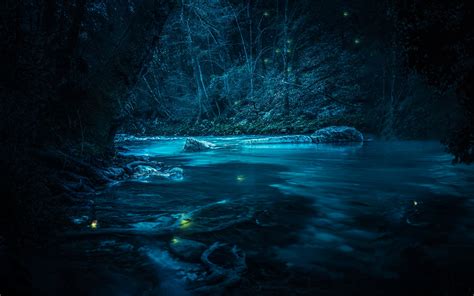 Forest Wallpaper 4K, River, Night, Dark, Magical