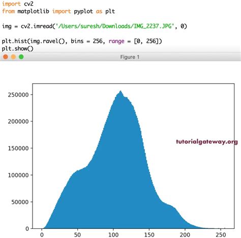 Matplotlib Histograms | The Best Porn Website