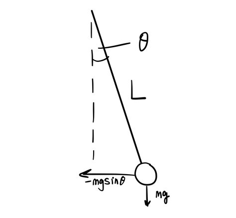 Pendulum In Simple Harmonic Motion