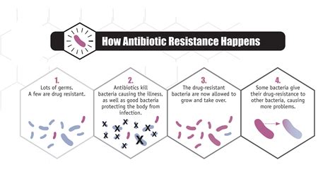 Antibiotic Resistance in Bacteria - Testing.com