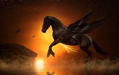 Pegasus - Mythical Creature in Greek Mythology | Mythology.net