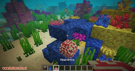 Underwater Biome Mod 1.15.1/1.14.4 (New Biomes in the Ocean, New ...