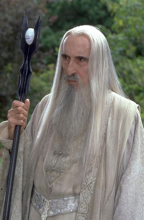 Lord-of-the-rings-saruman-dead-sir-christopher-lee - Bricks and Stones ...