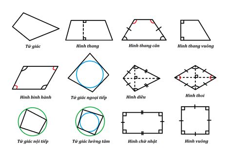 Cách vẽ tứ giác: Bí quyết tạo hình đẹp mắt chỉ trong 5 bước! - Liugems